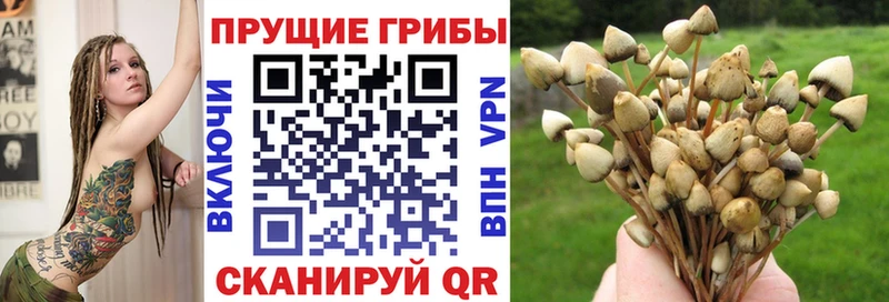площадка телеграм  Соликамск  Галлюциногенные грибы прущие грибы 