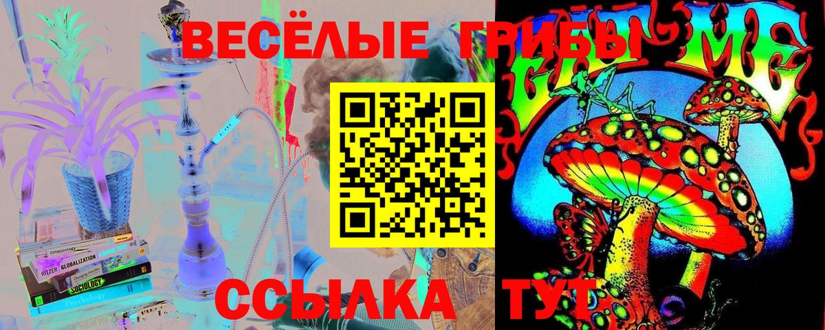Псилоцибиновые грибы Psilocybe  Вход с VPN  Соликамск 