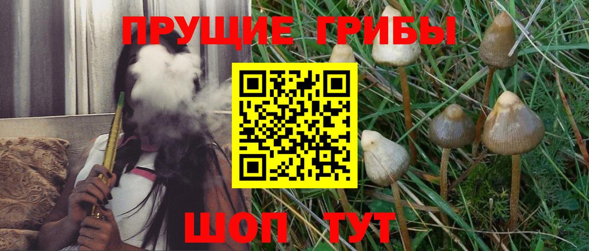 Галлюциногенные грибы мухоморы Соликамск