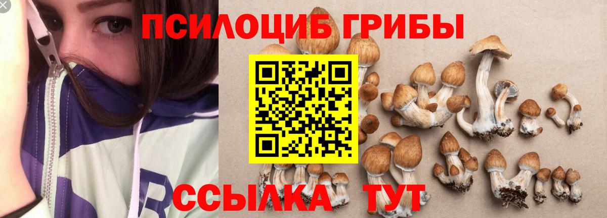 Галлюциногенные грибы Psilocybine cubensis Соликамск